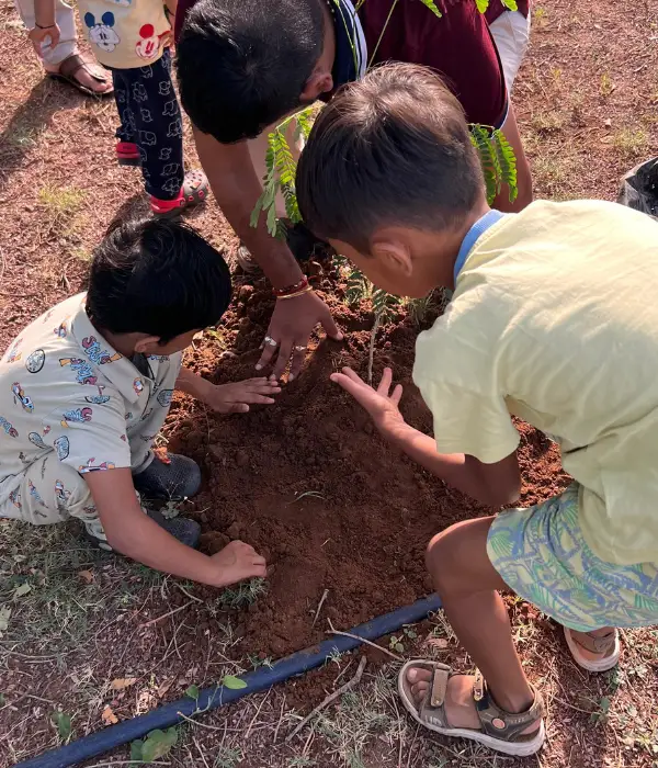 Tree planting campaign reel