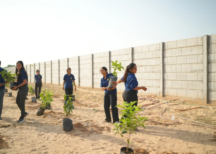Tree Planting